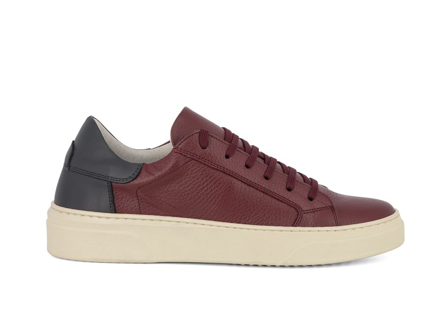 Man CALPIERRE SPORT Sneakers | Calcus Bordo~Navy | Peter Sheppard Footwear