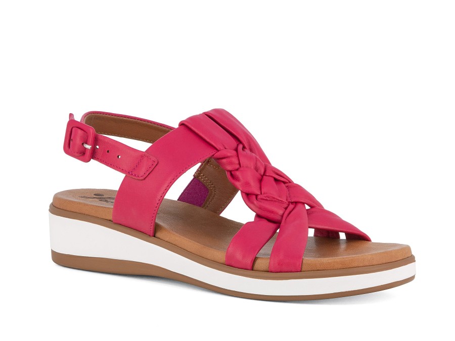 Woman SUSIMODA Sandals | Salanis Fuchsia | Peter Sheppard Footwear