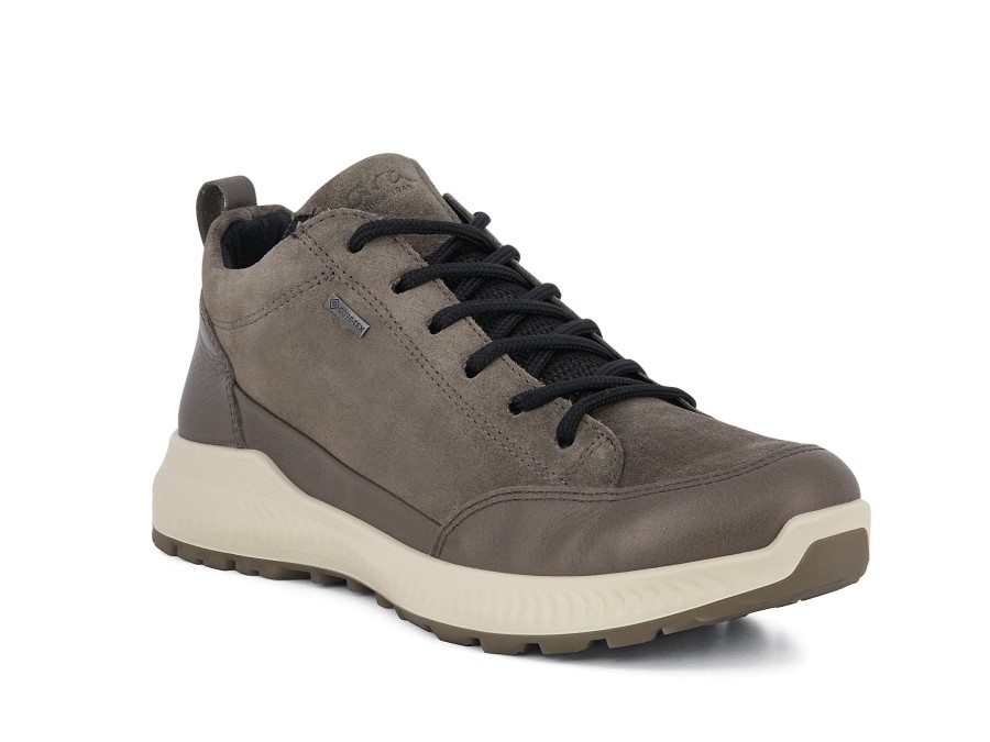 Woman ARA Sneakers | 26013 Taupe | Peter Sheppard Footwear