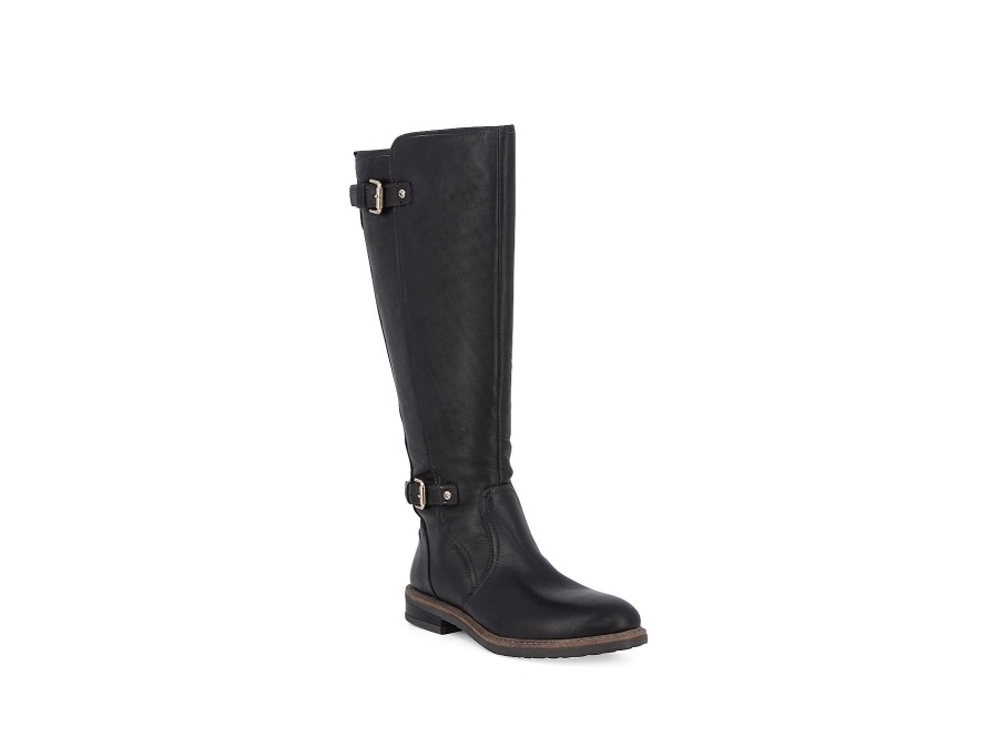 Woman PIKOLINOS Long Boots | W8J-9621 Black | Peter Sheppard Footwear