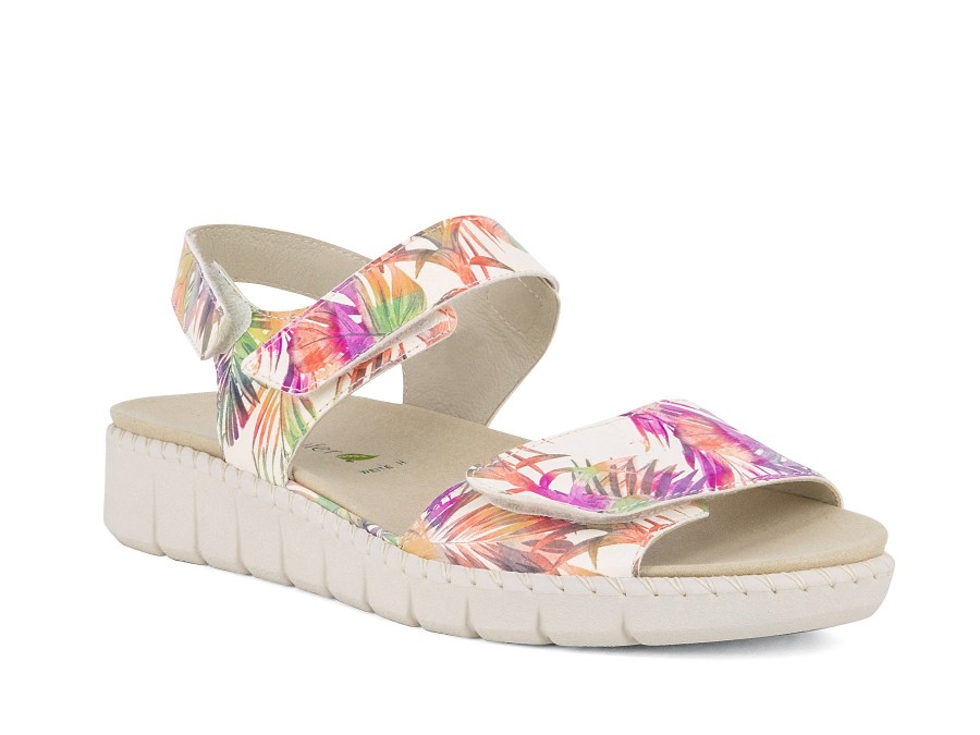 Woman WALDLAUFER Sandals | Witney Fig Multi | Peter Sheppard Footwear