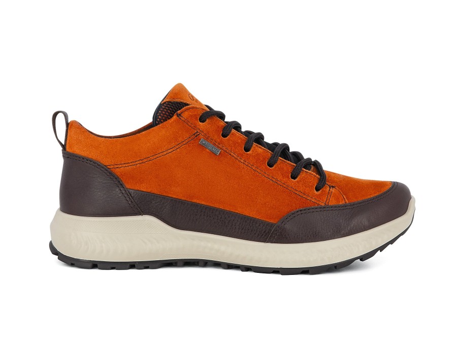 Woman ARA Sneakers | 26013 Orange | Peter Sheppard Footwear